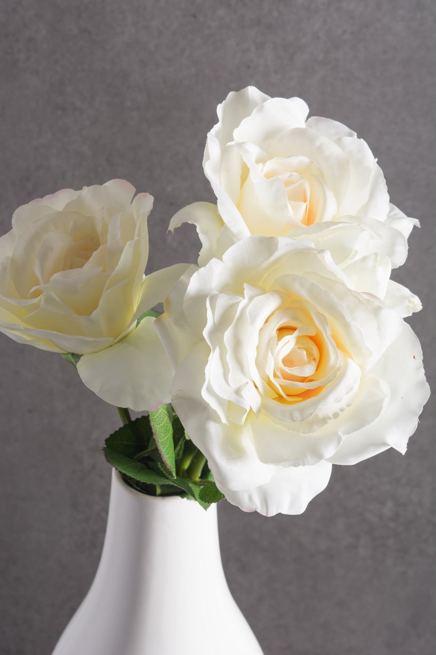 FLOWER OPEN ROSE CREAM S/6