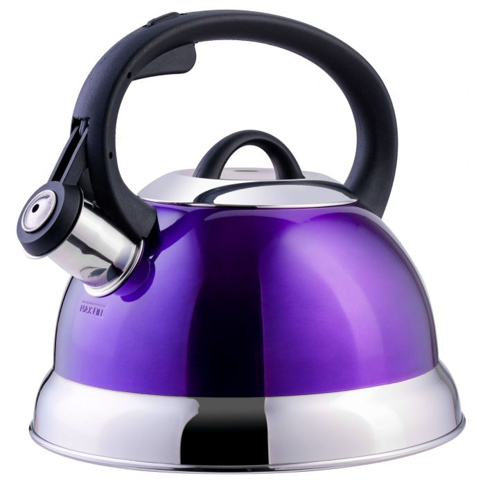 Mr. Coffee Flintshire 1.75 Quart Whistling Stovetop Tea Kettle