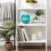 LARGE AUQUA FISH BOWL