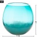 LARGE AUQUA FISH BOWL