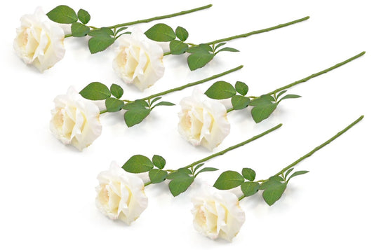FLOWER OPEN ROSE CREAM S/6