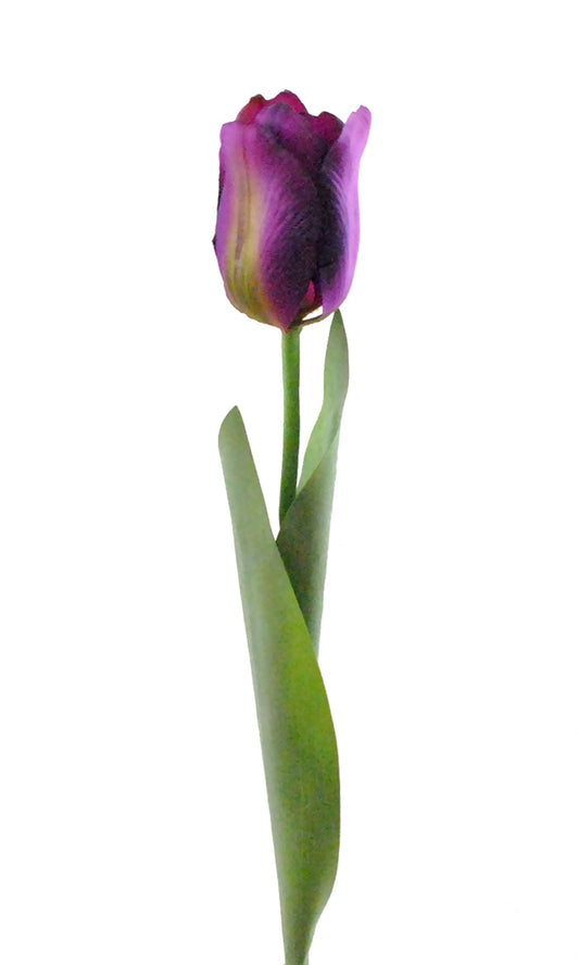 FLOWER TULIP PURPLE S/4
